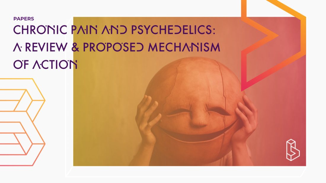 Chronic Pain And Psychedelics: A Review And Proposed Mechanism Of Action