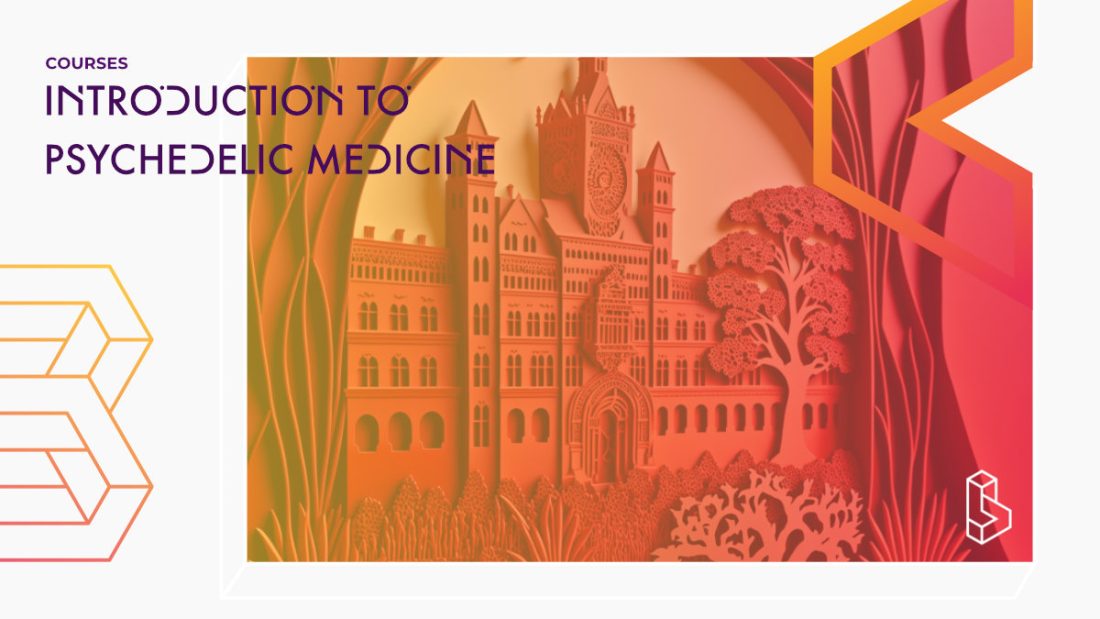 Introduction To Psychedelic Medicine